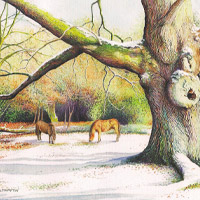 Karen Frampton, New Forest Artist, paintings, greeting cards, murals, slate, Hampshire, UK